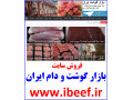 Icon for فروش وبسایت بازار گوشت و دام ایران ibeef.ir
