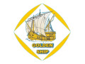 کشتی طلایی: نخستین گام در تجربه‌ی شهربازی با تجهیزات منحصر به فرد - طرح منحصر به فرد