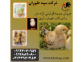 Icon for فروش جوجه مرغ گوشتی یک روزه - طیور