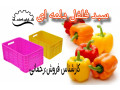 Icon for سبد فلفل دلمه ،سبد سورتینگ،سبد گلخانه