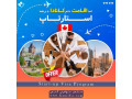 Icon for ویزای توریستی کانادا