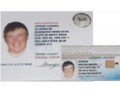 تصدیق یا گواهینامه رانندگی بین المللی - بین المللی