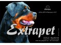 فروش بیش از 100 قلاده سگ در یک مجموعه - مجموعه داشبورد کامل رانا LX