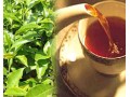 فروش چای ایرانی لاهیجان در کاشان و اصفهان 09111459401 - تور گلابگیری کاشان