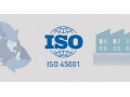 مشاوره و استقرار ISO 45001:2018 - نفر اول ارشد مشاوره