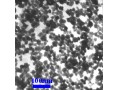 فروش نانو ذرات اکسید آهن - نانو ذرات هماتیت - Nano Fe2O3 - Nano اکسید ایتریوم