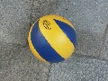 فروش عمده توپ والیبال میکاسا طرح المپیک - لیگ جهانی والیبال