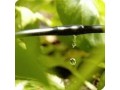 آبیاری باغ مرکبات توجه عمومیت کاربرد روش سنتی - کاربرد پی وی سی و یو پی وی سی
