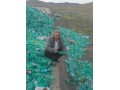 خط بازیافت پت - بازیافت پلاستیک