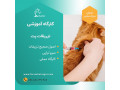 دوره آموزشی تزریقات پت گربه -سگ - تزریقات عضلانی