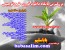 طرحهای توجیهی کشاورزی و دامپروری