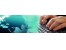 اجرای شبکه های Voice و Data