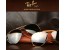 انواع عینک rayban