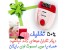 اپیلیدی تک کاره فیلیپس+جایزه