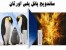 ساندویچ پانل