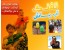 خرید پستی اسباب بازی آبپاش برای آب بازی بچه ها در تابستان