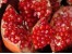 فروش رب انار خانگی (اصل)