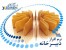 نرم افزار دبیرخانه یگانه