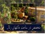 ساخت انواع مدل و ماکت