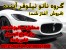 (1باراستفاده ماده نانو تا30هزار کیلومتراز رفتن به کارواش راحت شوید)