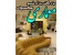عکس معماری