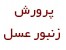 آموزش پیشرفته پرورش زنبور عسل