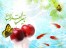 فروشگاه نوروز-تخفیف ویژه --گوشی موبایل، تبلت و ساعت موبایلی