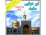 تور هوایی مشهد