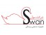لیزر سنگ قبر ، دستگاه لیزر سنگ قبر swan