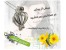 ست کامل و اصلی مروارید عشق/3 تکه