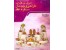 آموزش نرم افزاری طراحی و چیدمان سفره عقد ( اورجینال)