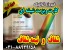 کارت ویزیت شفاف و نیمه شفاف