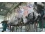فروش گوشت شترمرغ