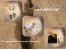 تجهیزات تست آزمایشگاه مکانیک خاک