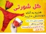 خرید گل شورتی