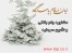 تامین سرمایه