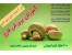 آموزش پرورش قارچ خوراکی در منزل ( قارچ دکمه ای و صدفی) + طرح توجیهی اشتغال زایی با پرورش قارچ برای اخذ وام بانکی