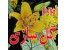 آموزش گلسازی (گل چرمی) / اورجینال