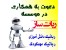 استخدام در شرکت نواندیشان ربات ساز