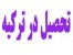 تحصیل در ترکیه