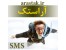 شرکت ساویس رایان نماد