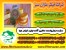 سازنده ی خطوط تولید فیلتر هوا