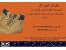 پوتین ایمنی کار گارانتی دار/کفش ایمنی/کفش کار/انواع تجهیزات ایمنی