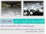آموزش کامل خوداشتغالی در منزل با پرورش قارچ صدفی و قارچ دکمه ای به روش جدید / به همراه دانلود رایگان کتاب پرورش قارچ