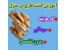 آموزش کامل خوداشتغالی در منزل با پرورش قارچ صدفی و قارچ دکمه ای به روش جدید / به همراه دانلود رایگان کتاب پرورش قارچ