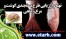 ارائه طرح توجیهی بستهبندی گوشت و مرغ و ماهی www.etarh.com