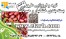 بسته بندی و فرآوری زیتون و روغن زیتون