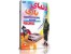 دنیای بازی 1