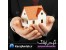 ملک دلخواه خود را به آسانی بیابید