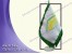 پرچم رومیزی دیجیتال